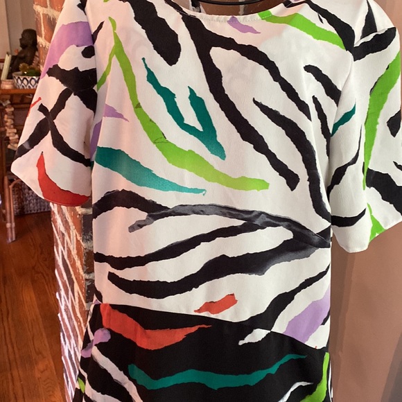 ASOS zebra print short sleeve dress - Picture 2 of 6